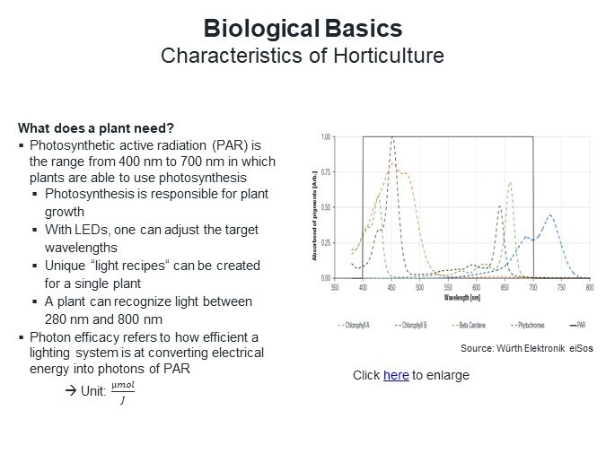 Biologicial Basics