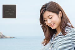 Image of AKM's AK4468 Premium D/A Converter