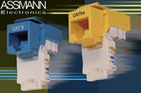 ASSMANN WSW's Cat 5e / Cat 6 Keystone Jacks and Cables Image of ASSMANN WSW's Cat 5e / Cat 6 Keystone Jacks and Cables