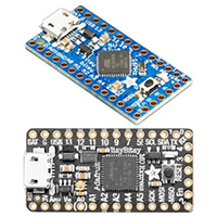 Adafruit 的 Itsy Bitsy 系列嵌入式平台的图片