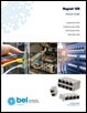 Bel Magnetic Solutions MagJack® ICM 產品指南的圖片