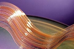 Image of Cicoil's Ultra-Flexible Micro IDC Cable