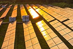 Field of solar panels lit by sunset