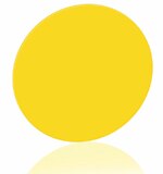 Image of Intematix's ChromaLit™ Round