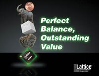 Lattice Semiconductor Corporation 的 ECP3 FPGA 图片