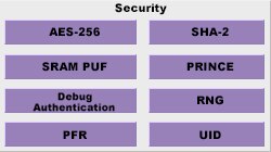 Security Features