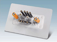 Image of Phoenix Contact's Cable Entry System Multigates