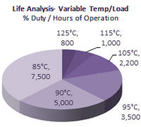 Bild des Tortendiagramms von Rubycon
