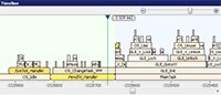 Segger Timeline 的图片