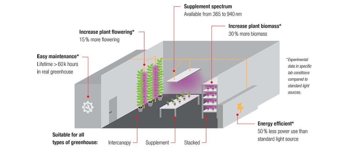Applications of Horticulture LEDs