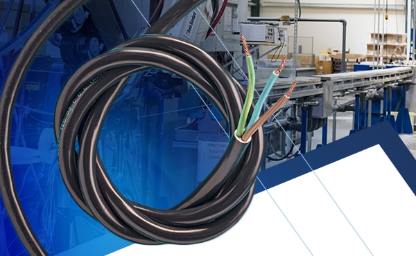 Image of Interpower's North American & International Multiple Conductor Cable