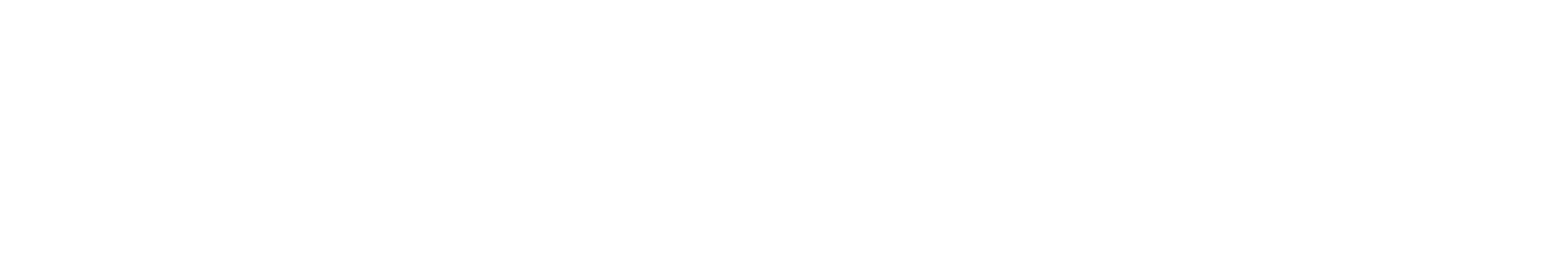 Swissbit logo