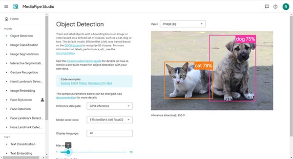 Customizing an Object Detection Model on Your Raspberry Pi