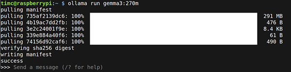 Image of Local LLMs on Raspberry Pi