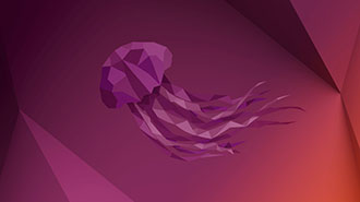 Image of Don’t Fear Ubuntu: How to Install It Successfully on Your First Try