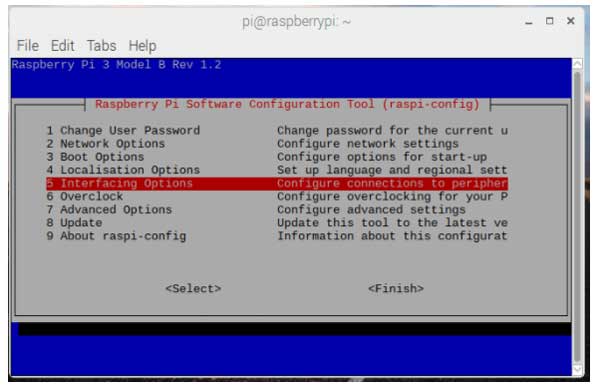 The interface option in the raspi-config menu