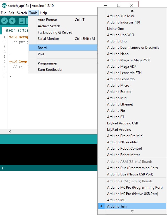 Getting Started with the Arduino Tian