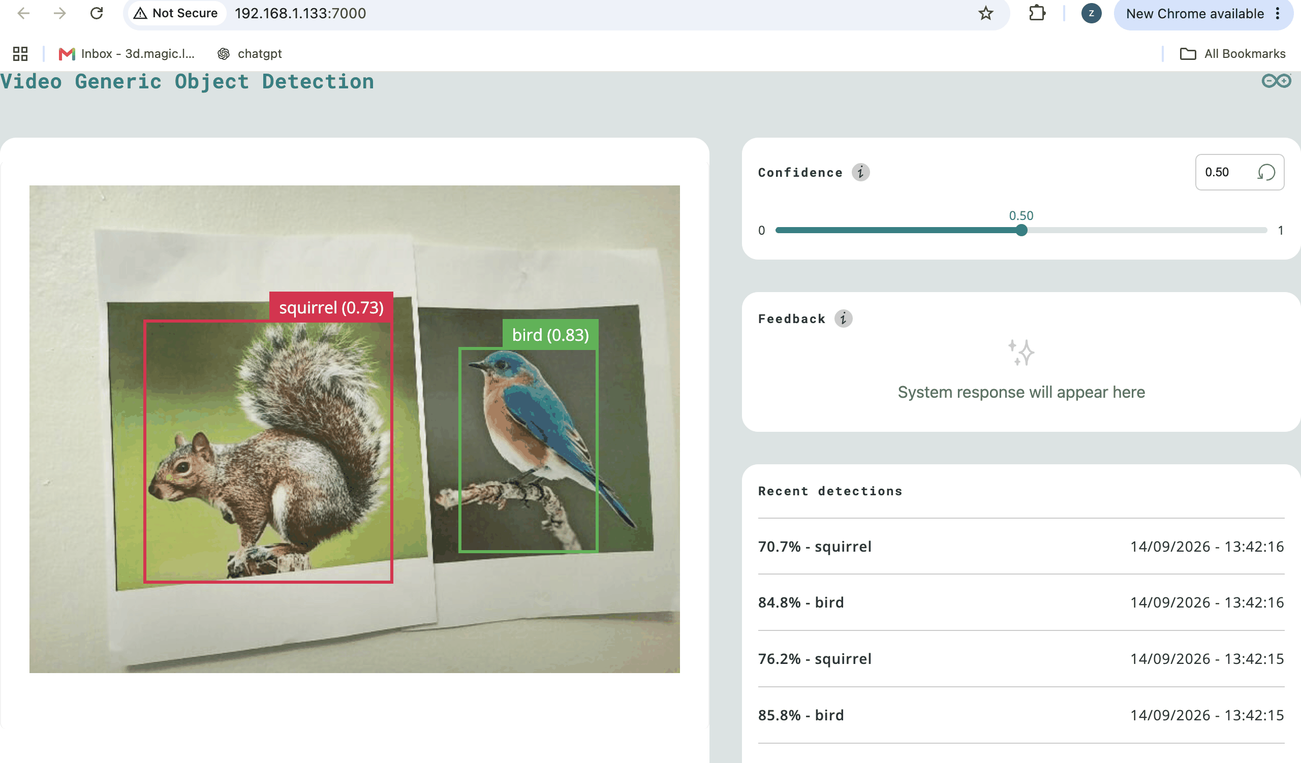 BirdSquirrel