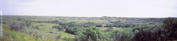 wide_8